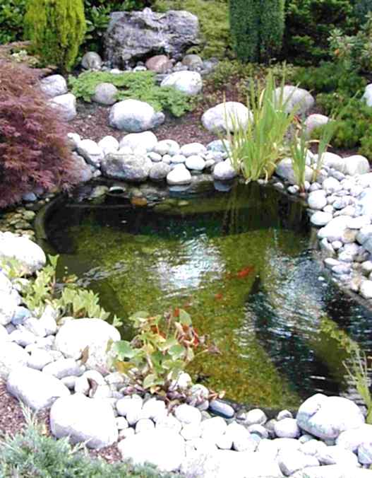 Poolline Lagoon Gölet ve Bahçe Doğal Süs Havuzu – Bahçenizde Doğanın Estetiği