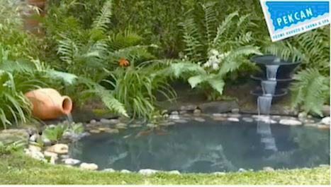 Bahçe Göletleri İçin PVC Liner Seçimi ve Doğru Uygulama Yöntemleri