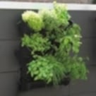 Dikey Bahçe Setleri