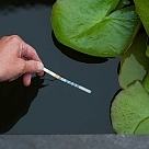 Süs Havuzu ve Gölet Kimyasalı