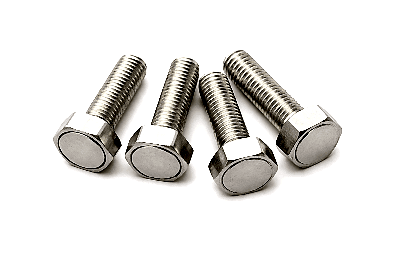 POOLLINE - Poolline Sauna Kapısı Nikel Magnet Manyetik Vida 14Mm 4 lü 