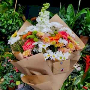 Antalya Çiçekçi - Mevsim & Kır Çiçekleri