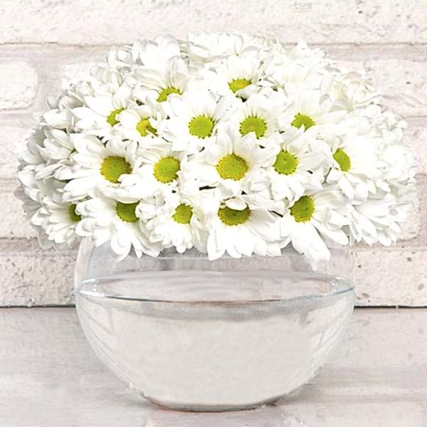  Antalya Çiçek Siparişi -  Paşabahçe Vazoda Papatya ARAJMANI