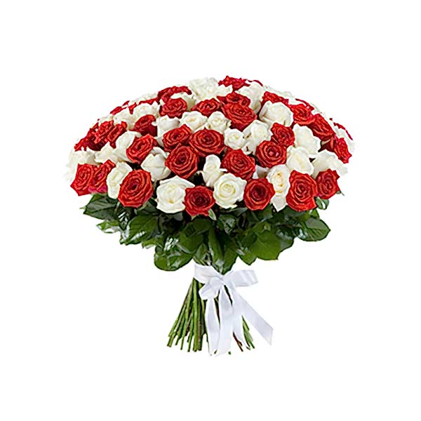  Antalya Çiçek Gönder - 101 Beyaz ve Kırmızı Gül