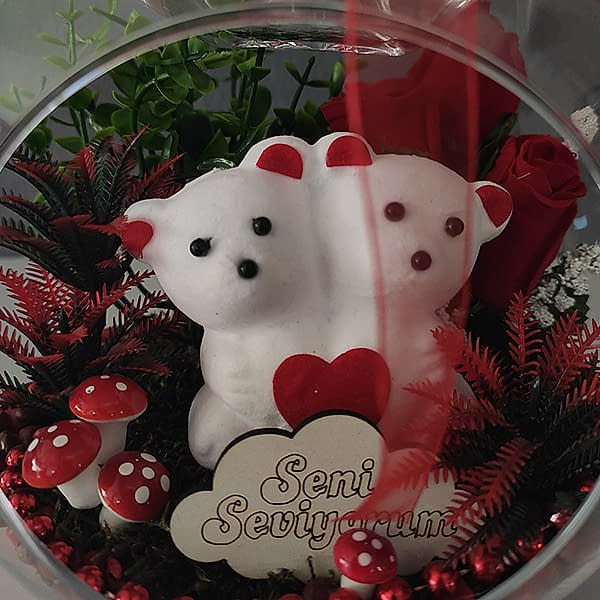  Antalya Çiçek Siparişi - Sevgililer Günü Çift Teraryumu