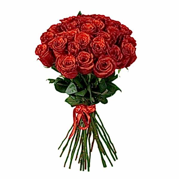 Antalya Çiçekçi - 41 Adet Kırmızı Gül Buketi