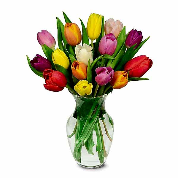  Antalya Çiçek Siparişi - Vazoda 15 Renkli Lale