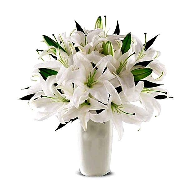  Antalya Çiçekci  - Vazoda Beyaz Lilyumlar