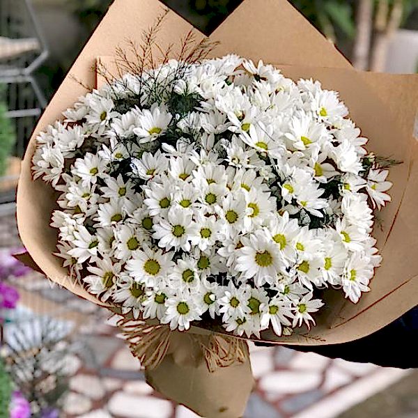  Antalya Çiçekçiler - Papatya Kır Buketi