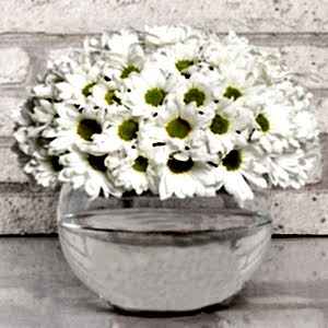  Antalya Çiçek Siparişi -  Paşabahçe Vazoda Papatya ARAJMANI