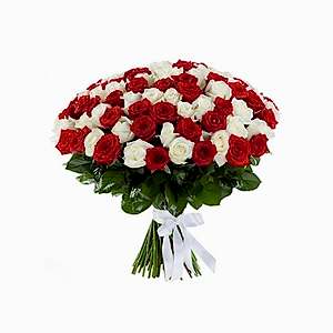  Antalya Çiçek Gönder - 101 Beyaz ve Kırmızı Gül