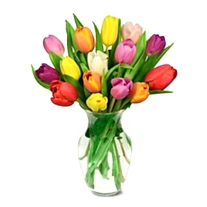  Antalya Çiçek Siparişi - Vazoda 15 Renkli Lale