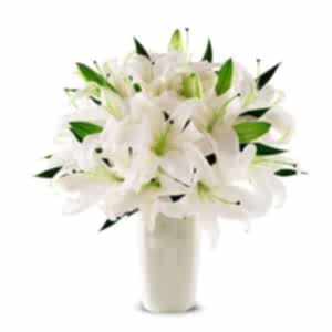  Antalya Çiçekci  - Vazoda Beyaz Lilyumlar