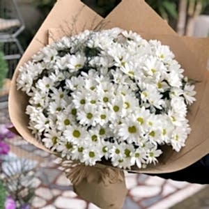  Antalya Çiçekçiler - Papatya Kır Buketi